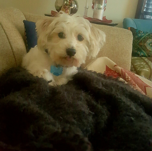 Meet your Posher, Ali! - Picture 5 of 8